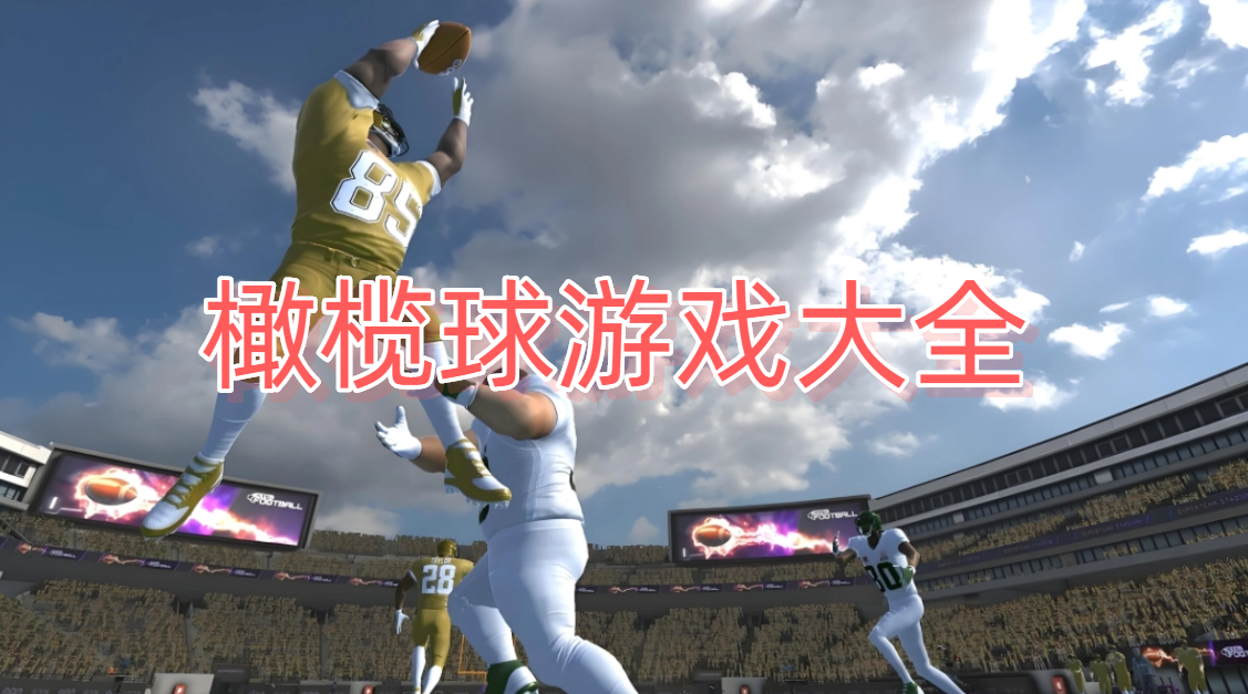 橄榄球游戏大全