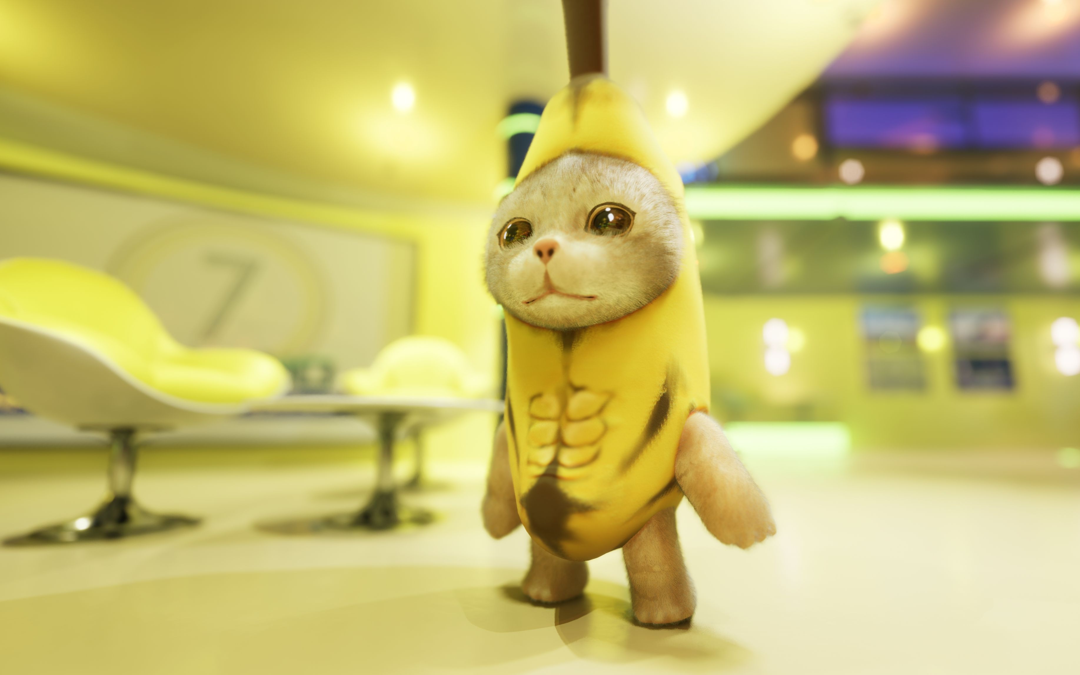 香蕉猫系列游戏全部版本合集