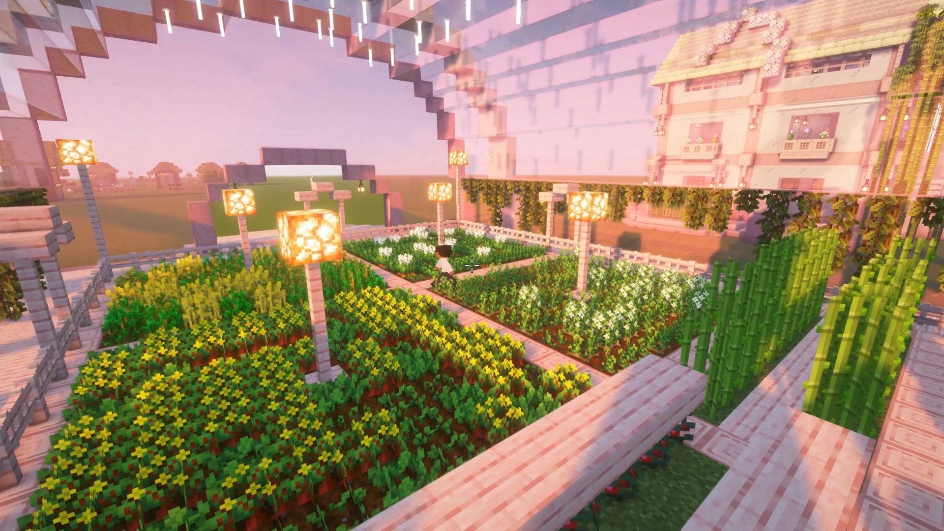 我的花园世界版本合集