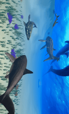 巨齿鲨模拟器(Shark Simulator - Megalodon)