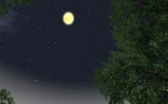 搜狗截图24年02月11日1549_13.png