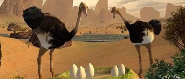 终极鸵鸟模拟器(Ostrich Bird Simulator 3D)