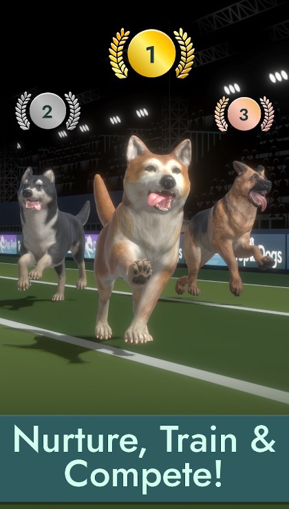 夺魁者(Top Dogs)