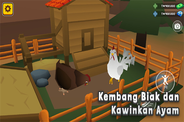 我是鸡护士(Aku Si Juragan Ayam)