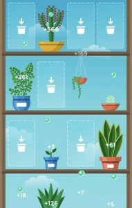梦幻植物园(Terrarium)