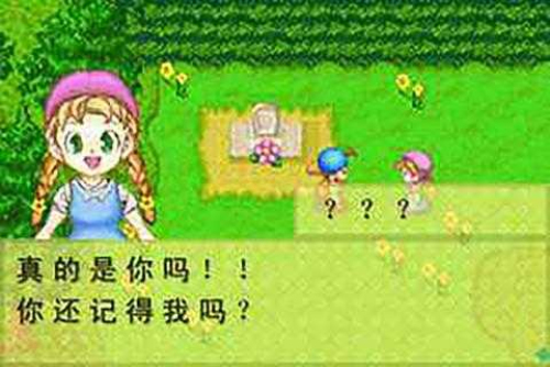 赛马牧场物语