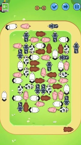 小猪快跑