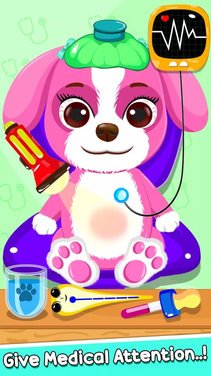 快乐拉布拉多(Puppy Activity Daycare)