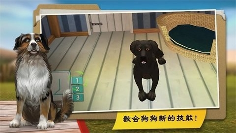 我的寄宿狗屋(DogHotel)