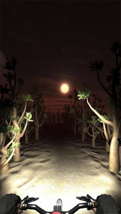 夜骑模拟器(Night Ride)