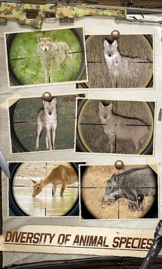 unnamed.webp.jpg-screenshot.jpg
