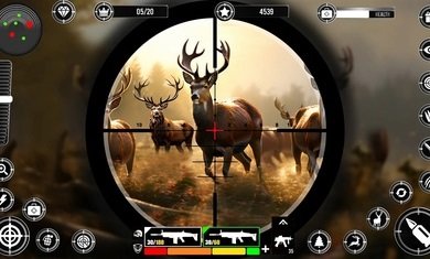 883990ad-a328-406c-a251-c102dc1f119e.jpg