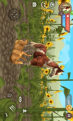 dwmnq4.jpg-screenshot.jpg