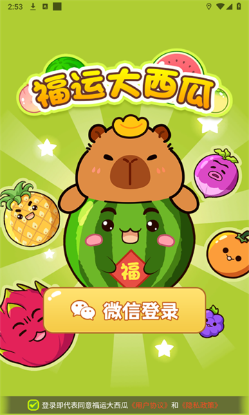 福运大西瓜