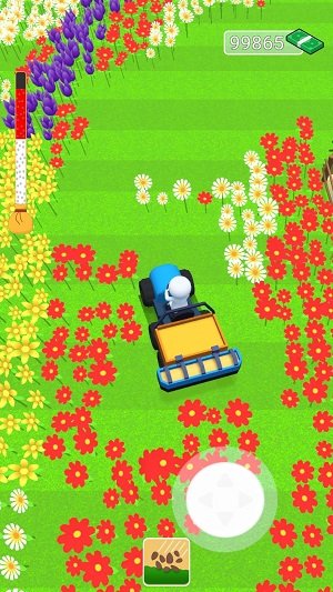 花朵农场(Flower Farmer)