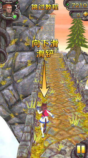 14105059bchz.png