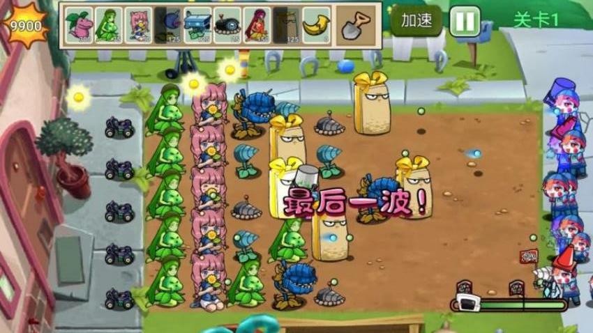 杂交融合植物