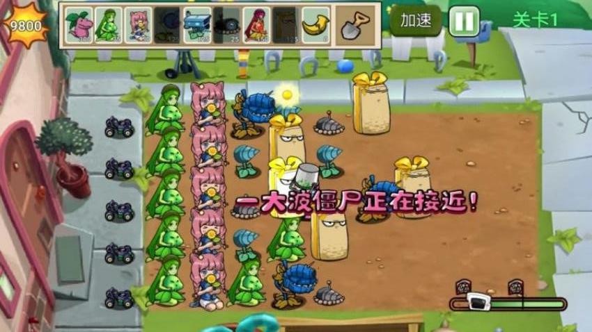 杂交融合植物