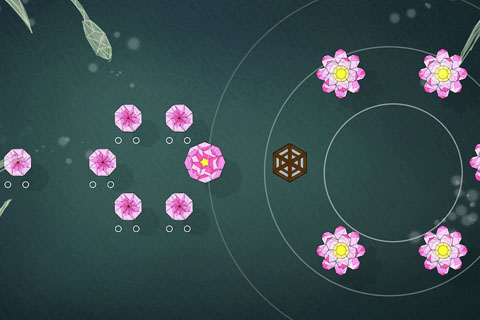 莲漪(Ripple Blossom)