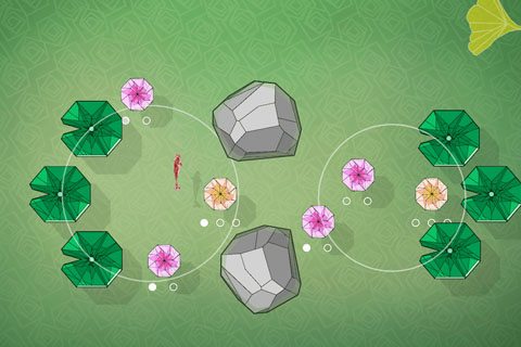 莲漪(Ripple Blossom)