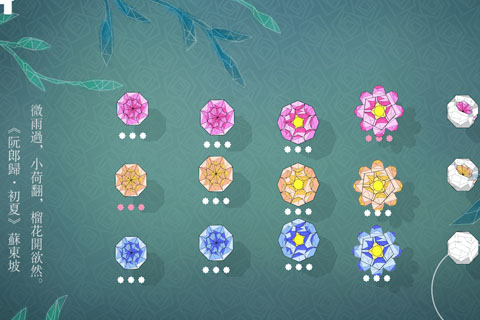 莲漪(Ripple Blossom)