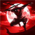 暗影骑士绝命旅途(Shadow Knight)